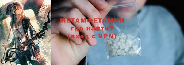 индика Краснослободск