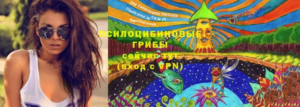 скорость mdpv Кукмор