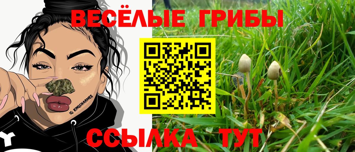 Галлюциногенные грибы мицелий  Вход с VPN  Лангепас  Псилоцибиновые грибы ЛСД 