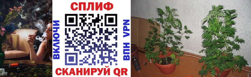 Бошки марихуана OG Kush  даркнет сайт  KRAKEN как войти  Лангепас 